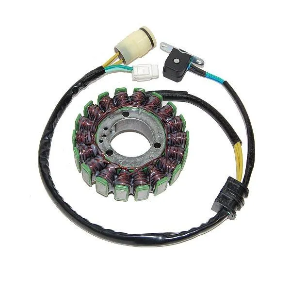 Original anpassbare Lichtmaschine YAMAHA YFZ660 RAPTOR ELECTROSPORT