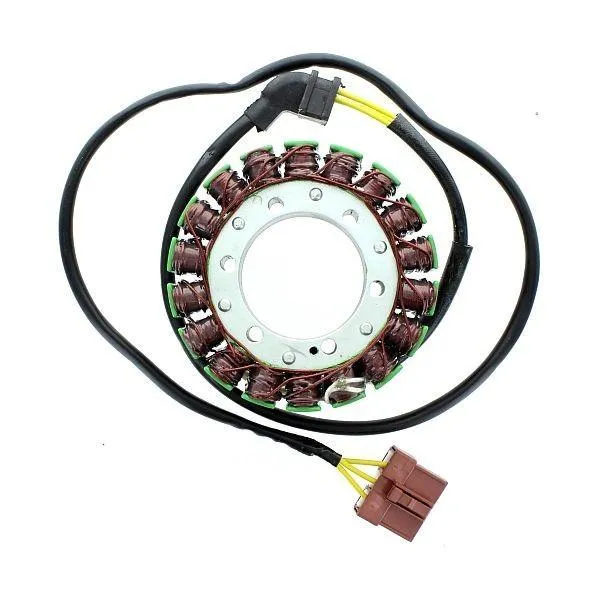 Original anpassbare Lichtmaschine APRILIA RSV R 1000 / Werk / Tuono 1000 R ELEKTROSPORT