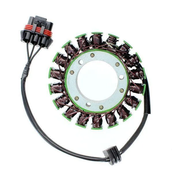 POLARIS ELECTROSPORT original anpassbare Lichtmaschine
