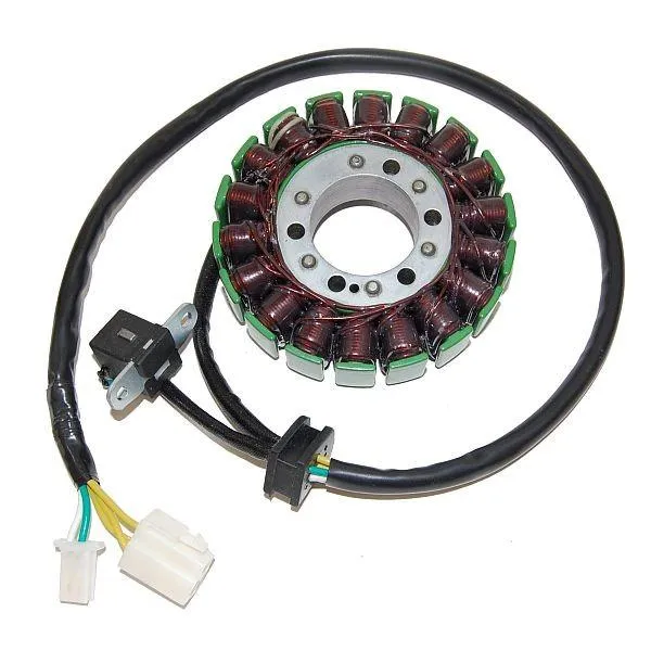 Original anpassbare Lichtmaschine SUZUKI DL650 V-Strom / ABS ELEKTROSPORT