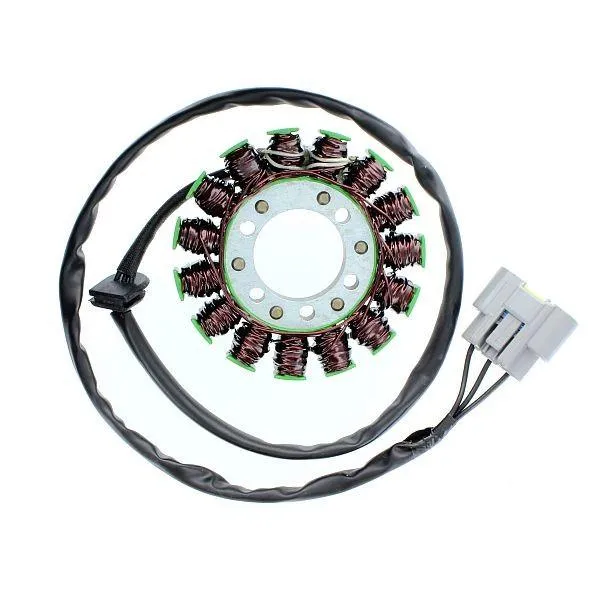 Original anpassbare Lichtmaschine BMW HP4 / S1000RR ELEKTROSPORT