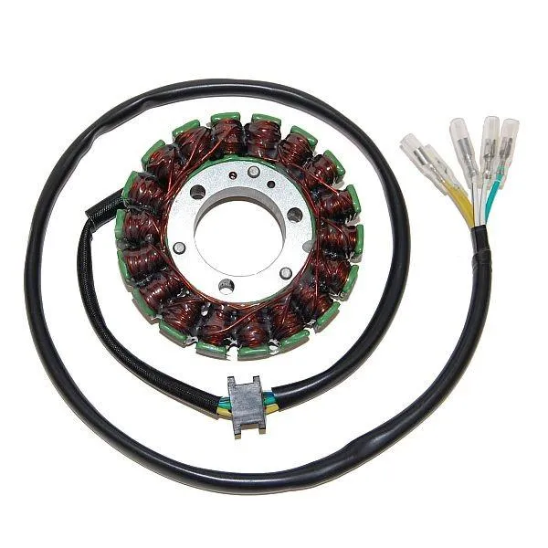 Original anpassbare Lichtmaschine SUZUKI GS / GSX ELEKTROSPORT