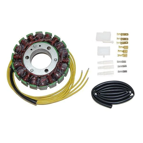 Original anpassbare Lichtmaschine SUZUKI GS / GSX ELEKTROSPORT