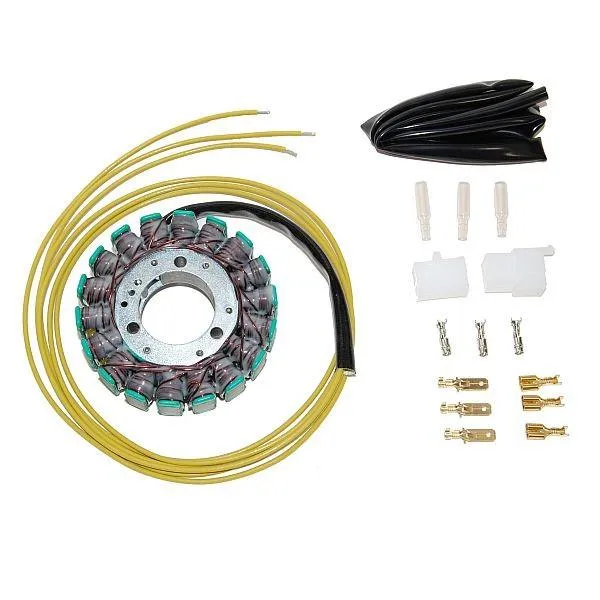 Original anpassbare Lichtmaschine KAWASAKI KZ / GR / ZR ELECTROSPORT