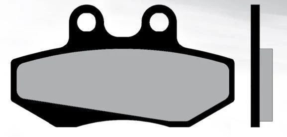 Bremsbeläge BRENTA Sintered Sintered