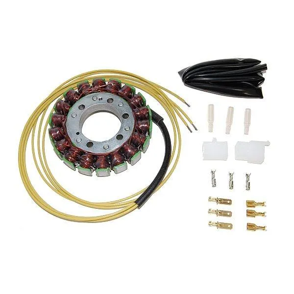 Original anpassbare Lichtmaschine HONDA VTR250 / KAWASAKI ZX / SUZUKI VZ800 ELEKTROPORT