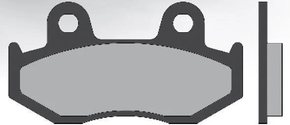 Bremsbeläge BRENTA Sintered Sintered