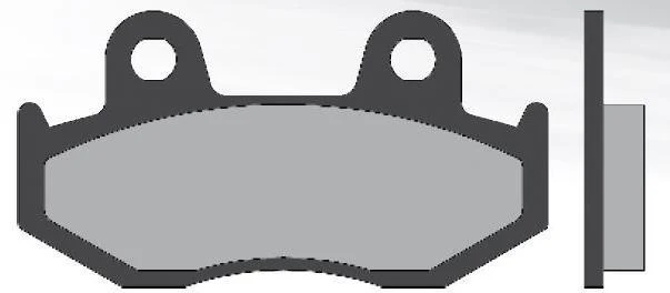 Bremsbeläge BRENTA Sintered Sintered