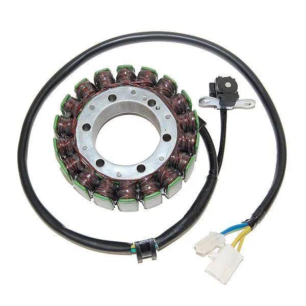 Original anpassbare Lichtmaschine SUZUKI TL1000R ELEKTROSPORT
