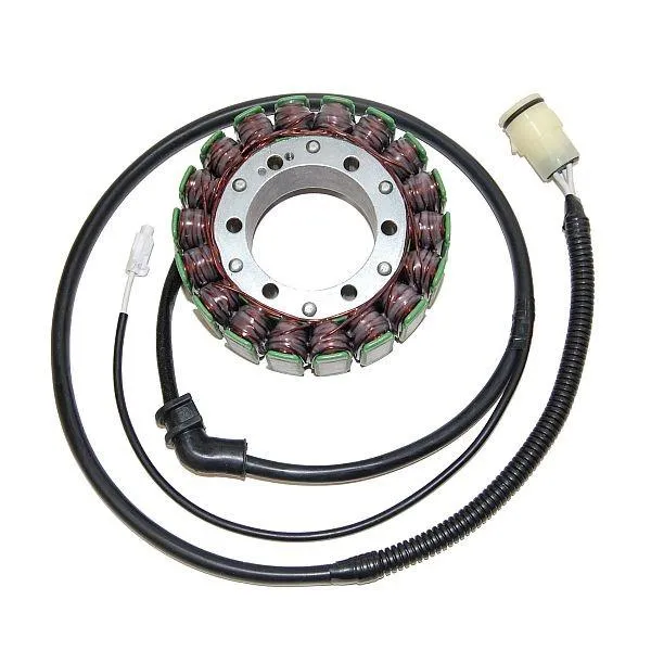 Original anpassbare Lichtmaschine KAWASAKI ZX-12R Ninja ELECTROSPORT