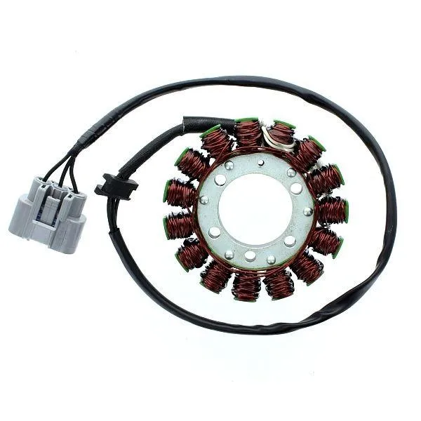 Original anpassbare Lichtmaschine KAWASAKI NINJA ZX-6R / ZX-10R Ninja / ABS ELEKTROSPORT