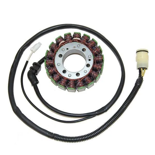 Original anpassbare Lichtmaschine KAWASAKI ZX-12R Ninja ELECTROSPORT