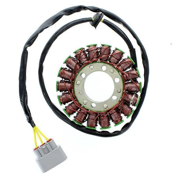 Original anpassbare Lichtmaschine BMW C600 Sport /BMW C650 Sport / GT ELEKTROSPORT OEM 12318558421 12317729666 12318534666