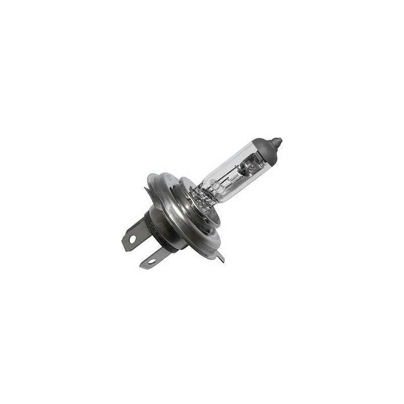 H7 PX26d 12V 55W Glühlampe