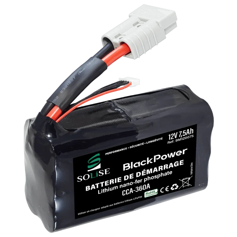 Batterie 12V 7,5 Ah BM12007S lösen