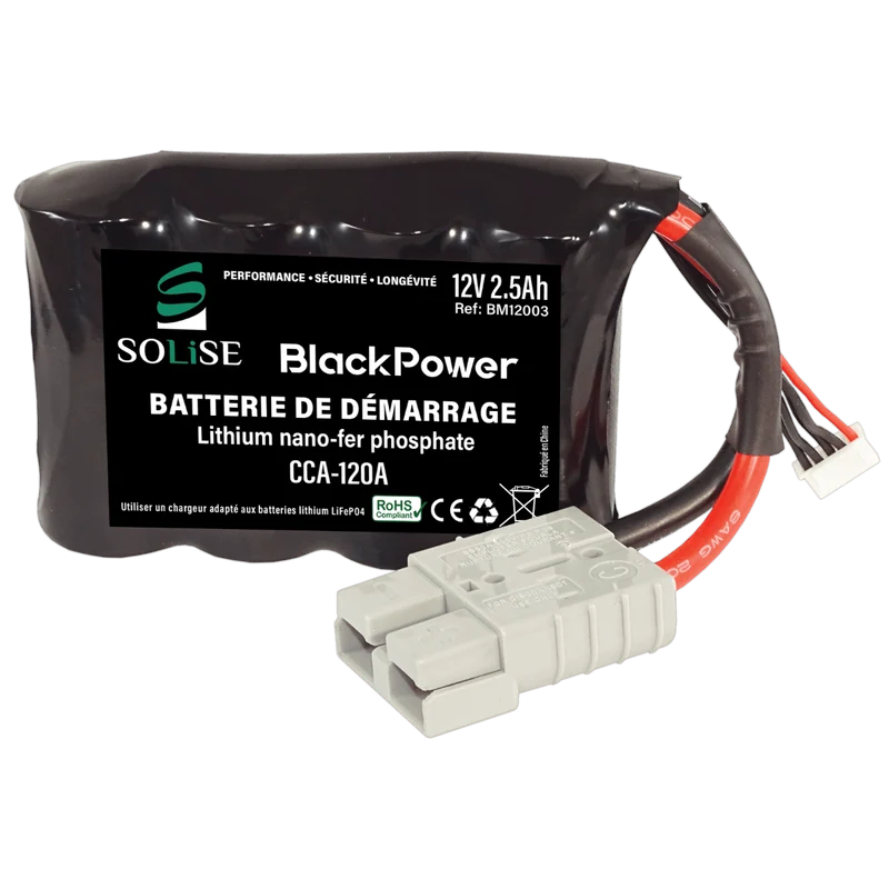 Batterie 12V 2,3Ah BM12003 lösen
