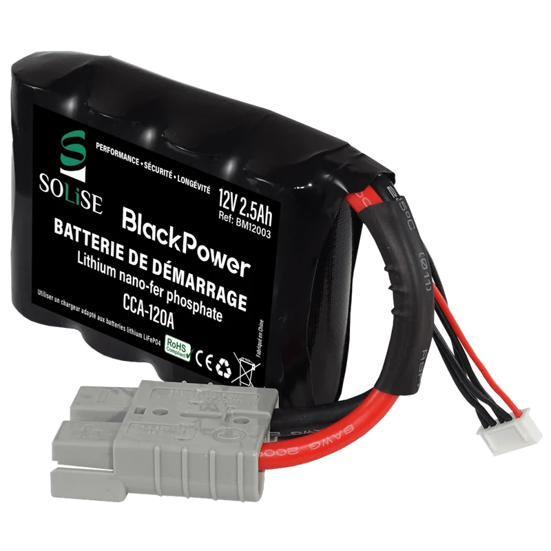 Batterie 12V 2,3Ah BM12003 lösen