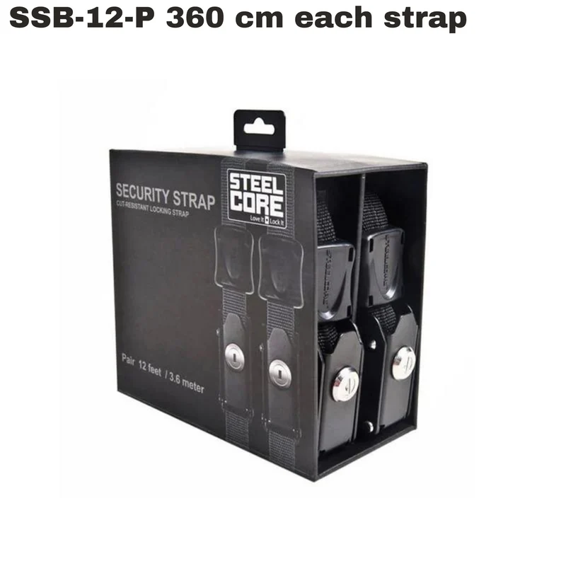 Steelcore Sicherheits-Spannriemen mit Schloss - 2er-Set